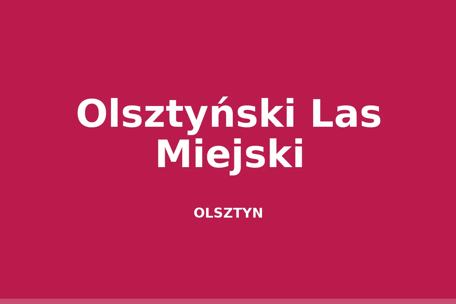 Olsztyński Las Miejski